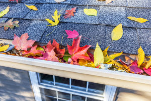 Fall Home Maintenance Checklist for your Silverdale, WA home