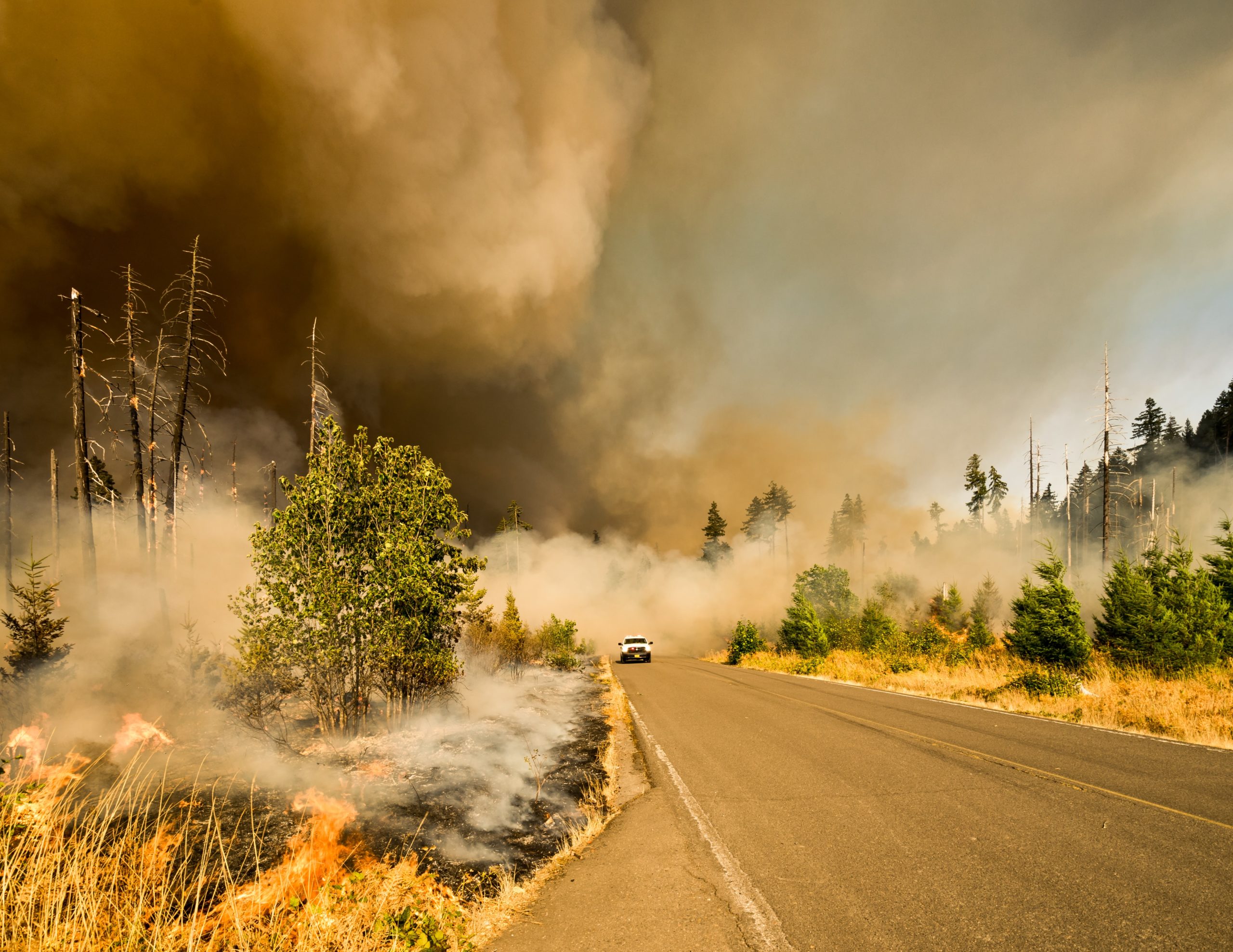 September is National Preparedness Month – Here is How It Relates to Your Insurance