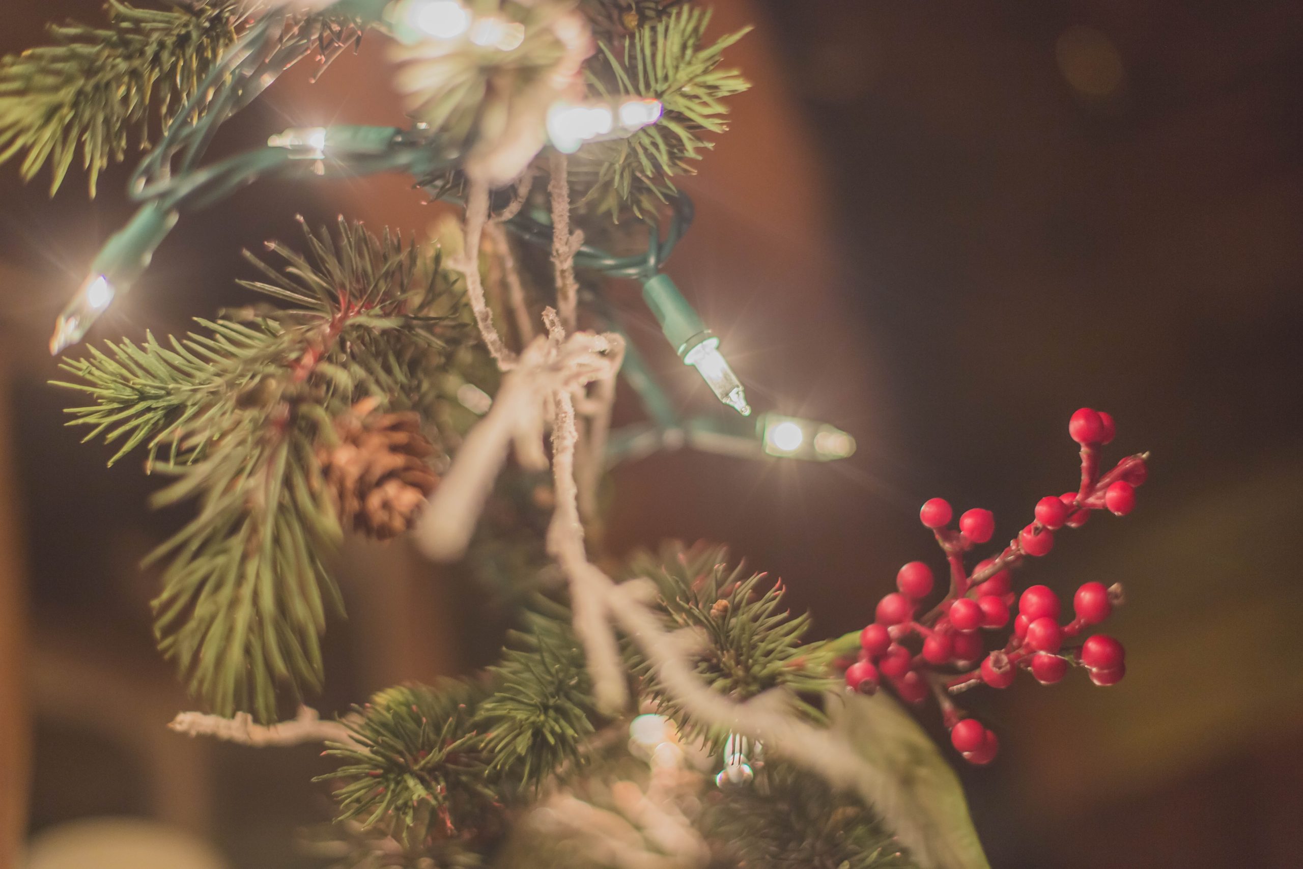 Safety Tips for This Holiday Season