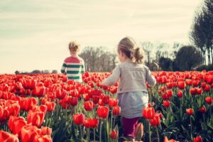 Spring Activities to Consider in Silverdale, Washington