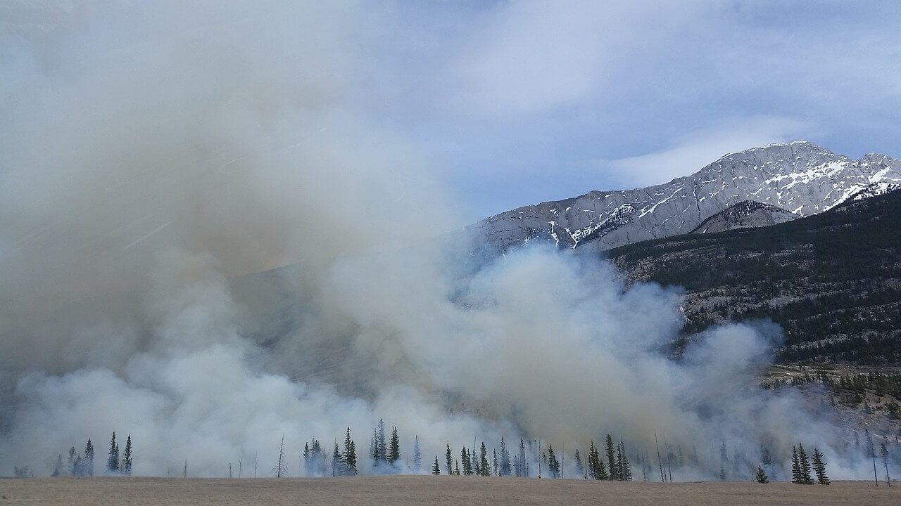 Wildfires, home insurance & staying safe during poor air quality days