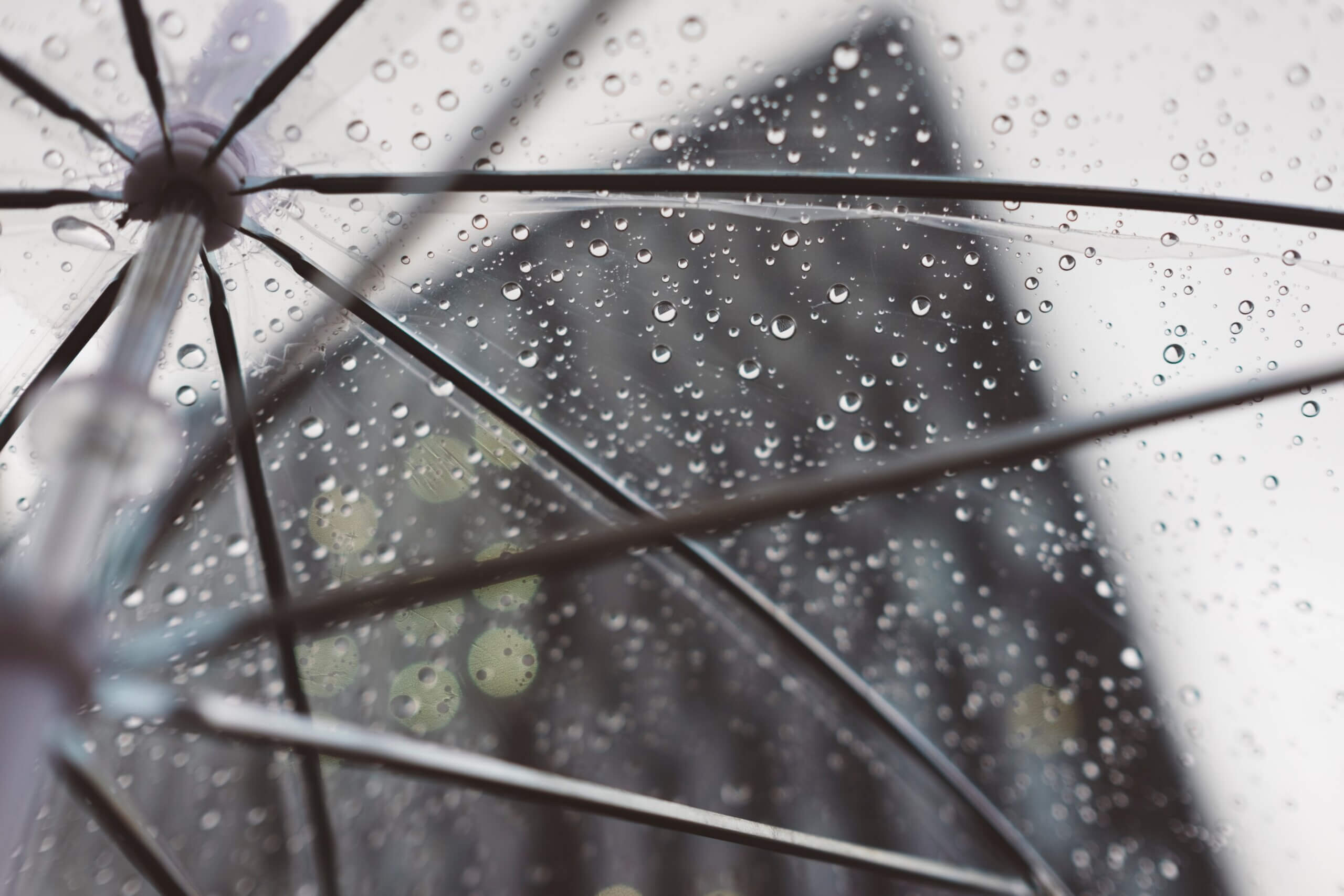 Commercial Umbrella Insurance in Silverdale, WA