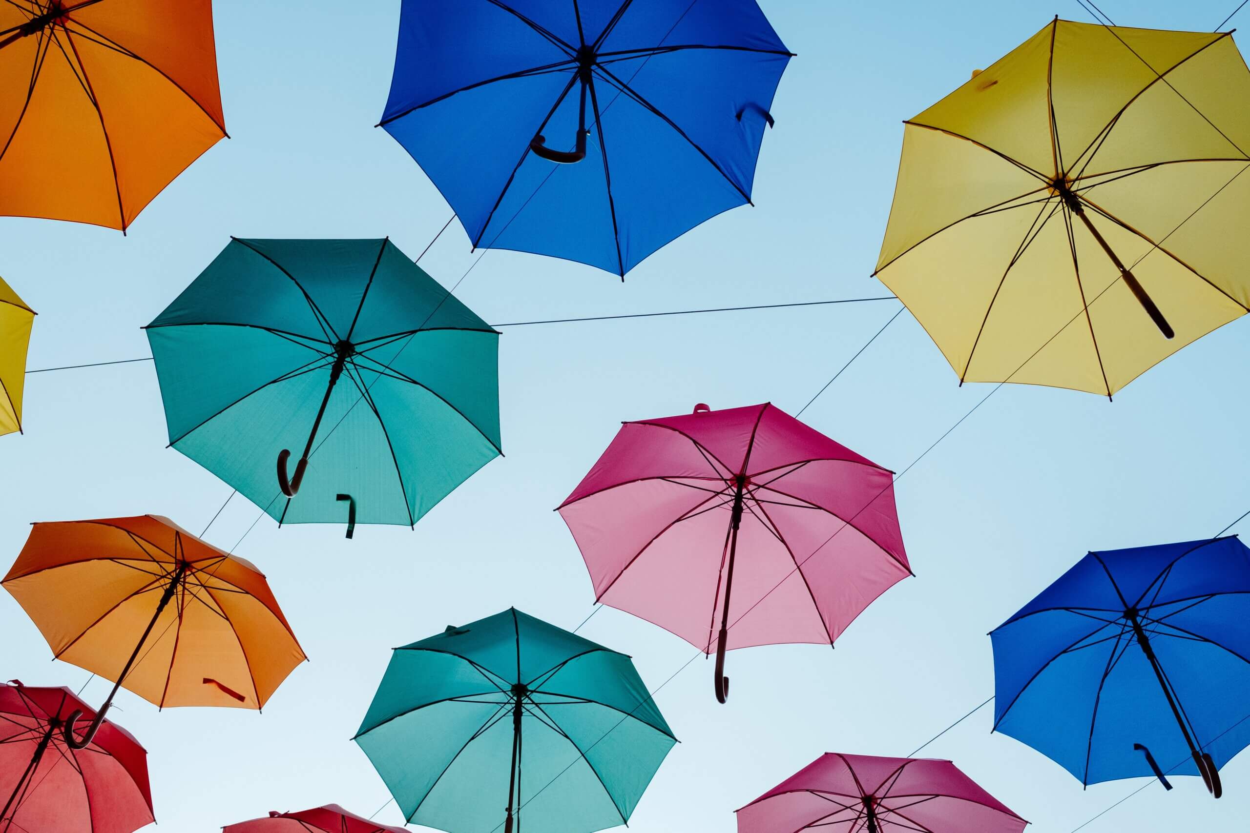 Umbrella Insurance in Silverdale, WA